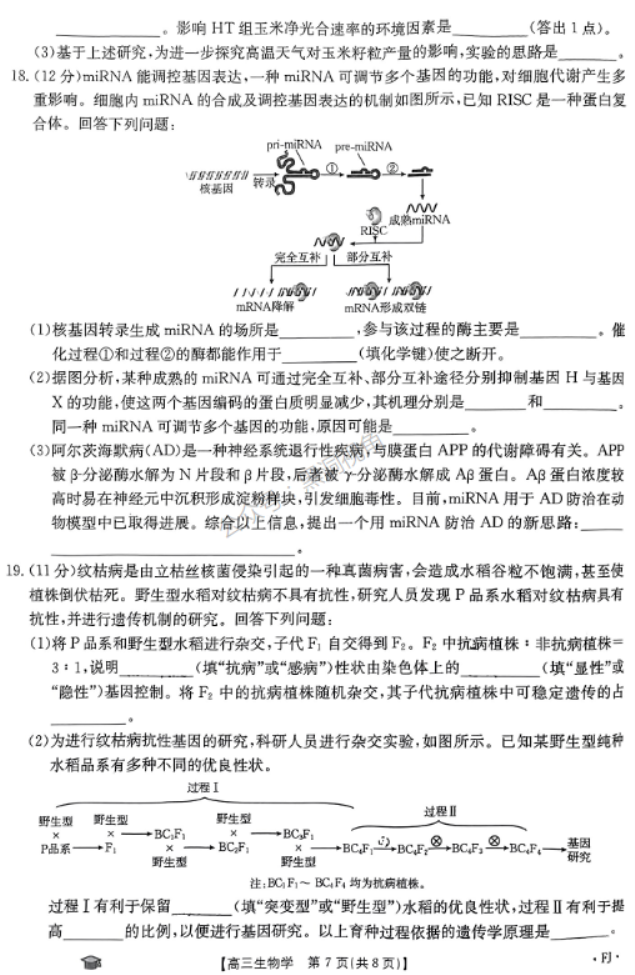 福建金太阳2024高三11月联考(120C)生物试题及答案解析