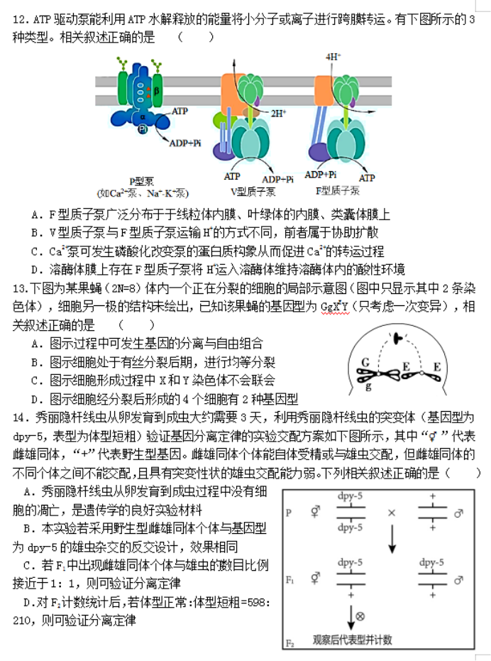 福建福州八县市一中2024高三期中联考生物试题及答案解析