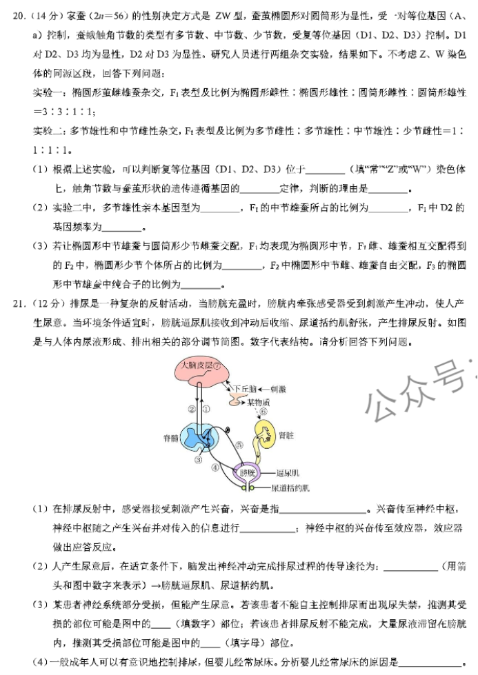 xkw河北2024高三11月联考考后强化卷生物试题及答案解析