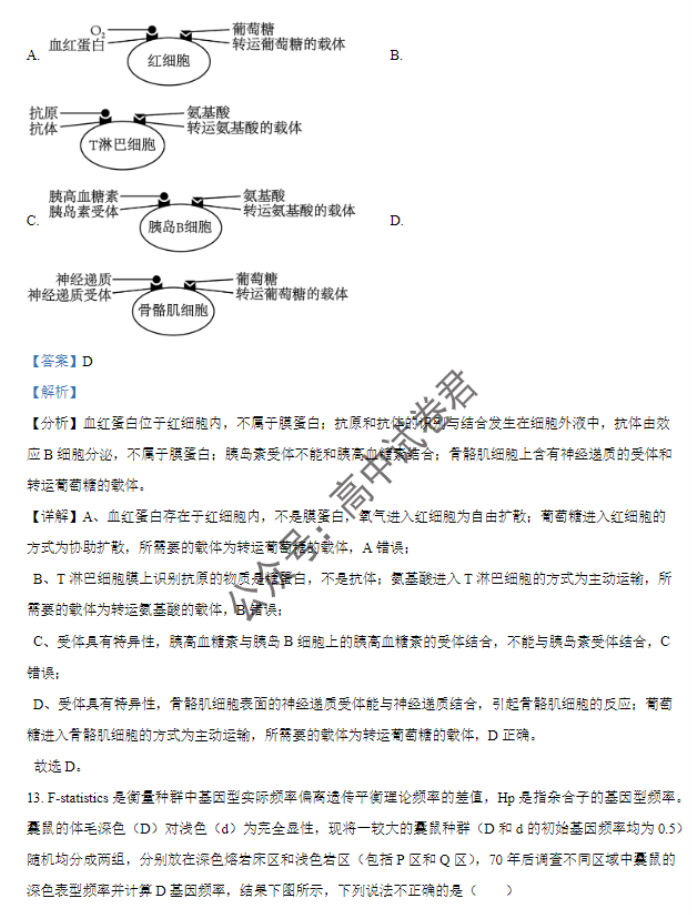 江西景德镇市2024高三11月第一次质检生物试题及答案解析