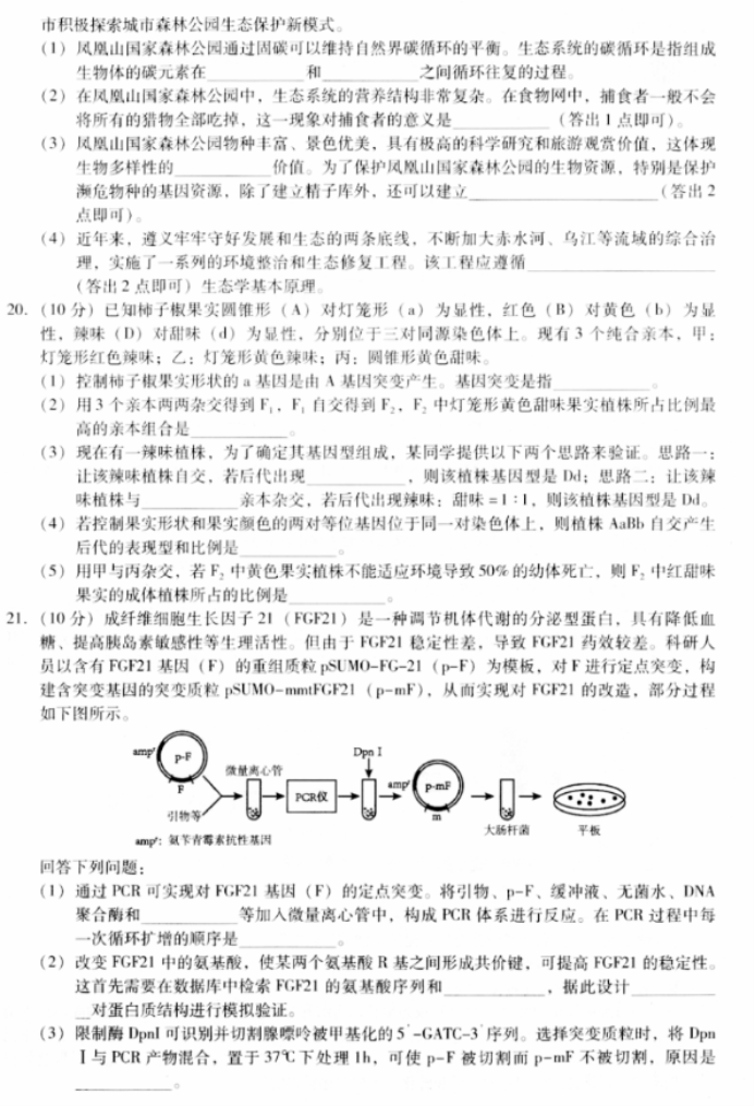 贵州省名校协作体2024高三11月联考生物试题及答案解析