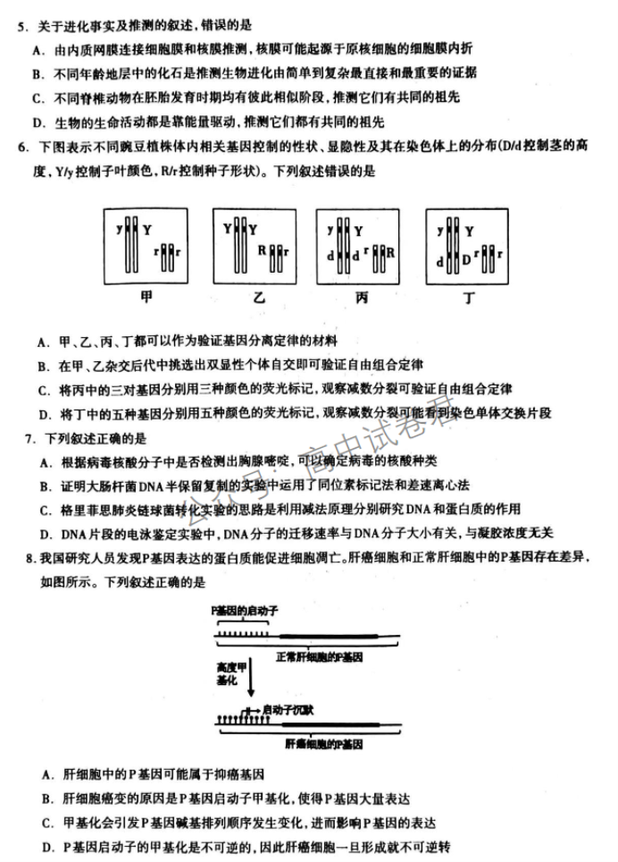 河北石家庄市2024高三11月摸底检测生物试题及答案解析