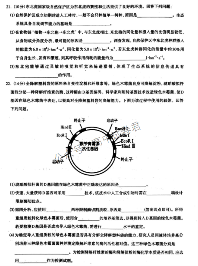 河北石家庄市2024高三11月摸底检测生物试题及答案解析