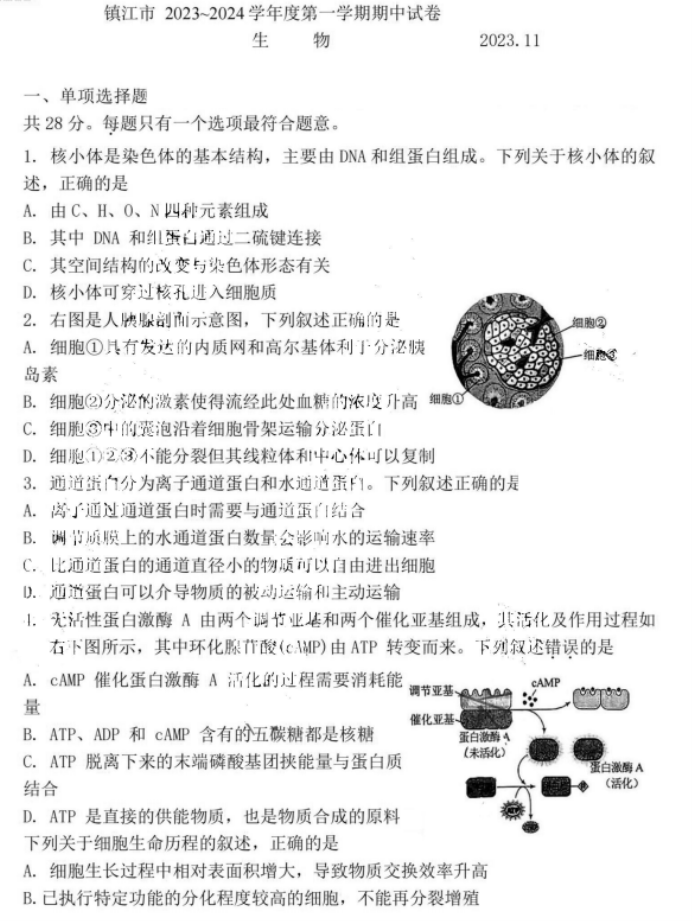 江苏省镇江市2024高三11月期中考试生物试题及答案解析