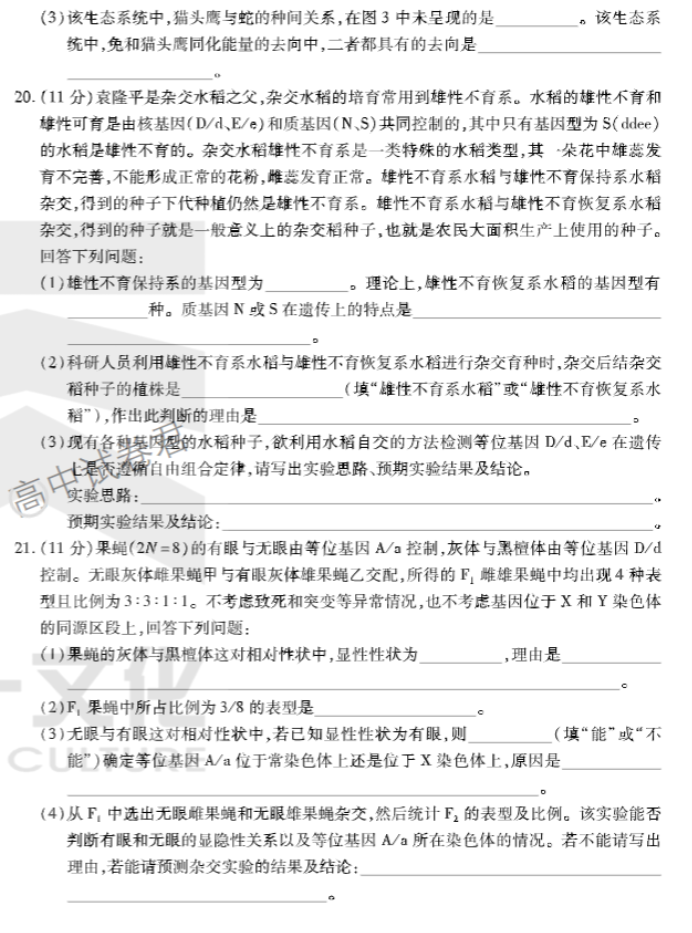 安徽卓越县中联盟2024高三11月期中考生物试题及答案解析