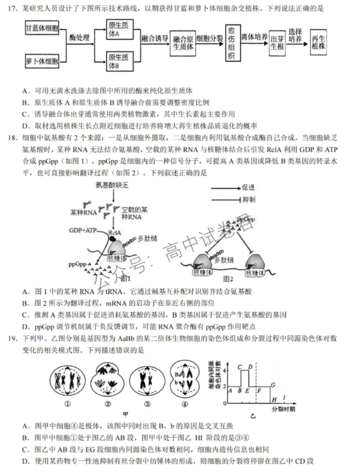浙江省9+1高中联盟2024高三期中联考生物试题及答案解析