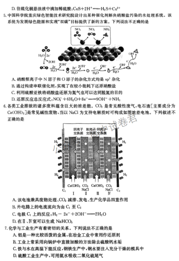 广东金太阳2024高三11月大联考(142C)化学试题及答案解析