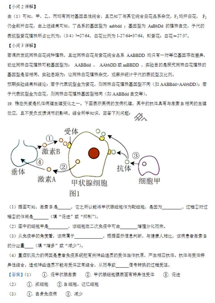 广西贵百河三市2024高三11月调研联考生物试题及答案解析