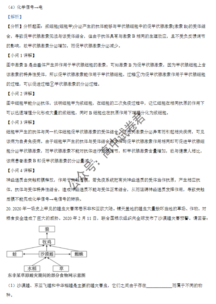 广西贵百河三市2024高三11月调研联考生物试题及答案解析