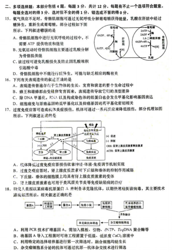 江苏南通如皋市2024高三11月期中考试生物试题及答案解析