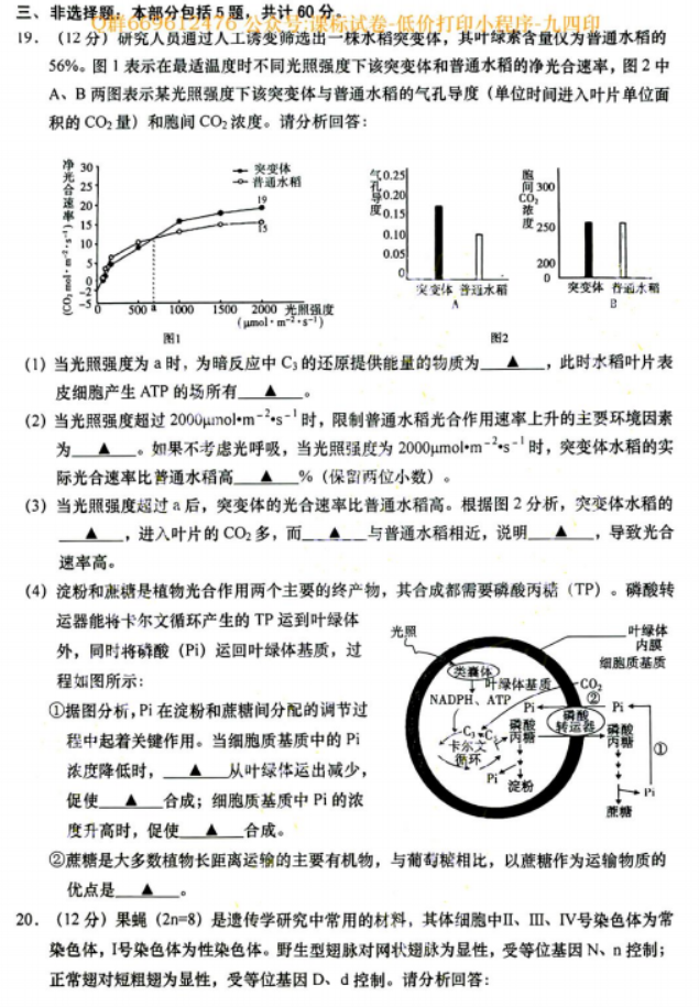 江苏南通如皋市2024高三11月期中考试生物试题及答案解析