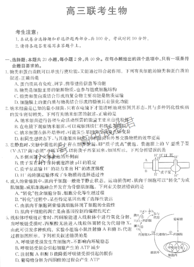 陕西商洛五校金太阳2024高三11月联考生物试题及答案解析