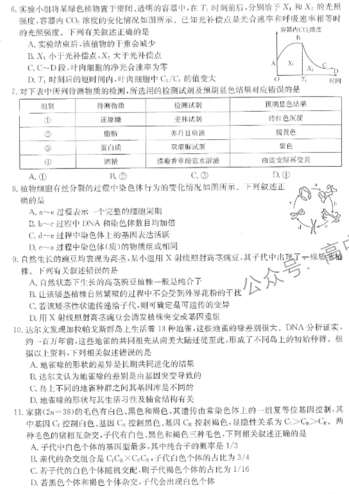 陕西商洛五校金太阳2024高三11月联考生物试题及答案解析