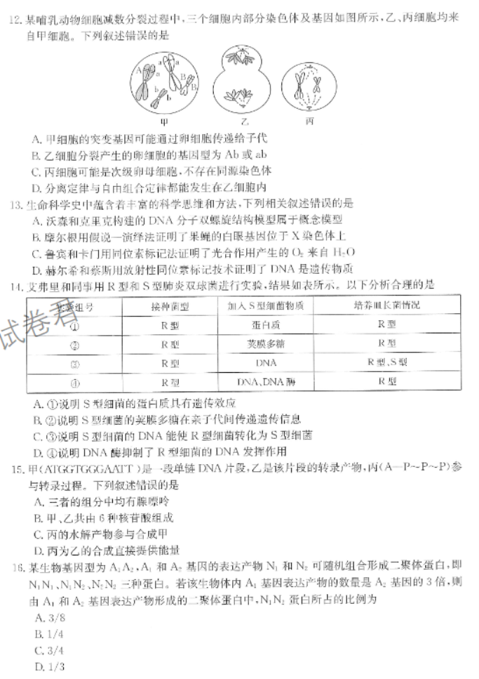 陕西商洛五校金太阳2024高三11月联考生物试题及答案解析