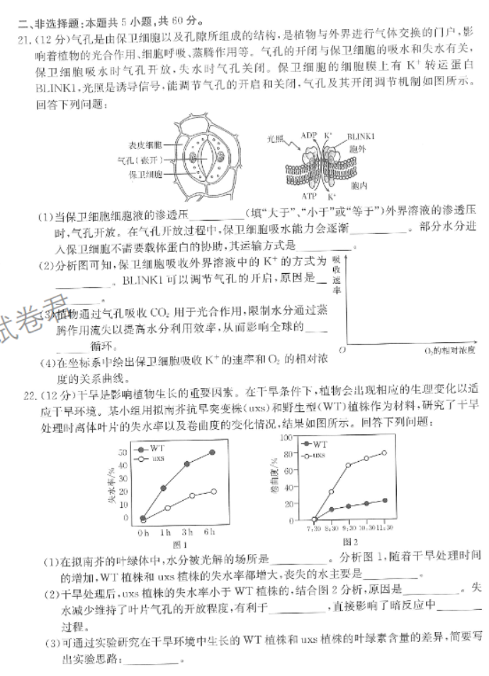 陕西商洛五校金太阳2024高三11月联考生物试题及答案解析