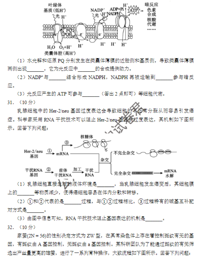 四川蓉城名校联盟2024高三第一次联考理综试题及答案解析