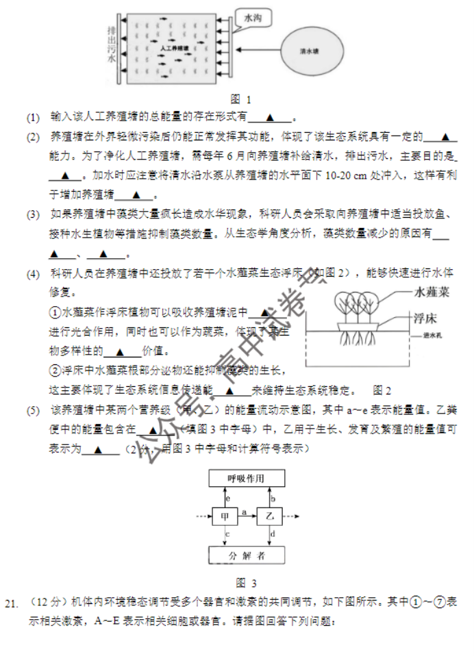 江苏南京市六校2024高三期中联合调研生物试题及答案解析