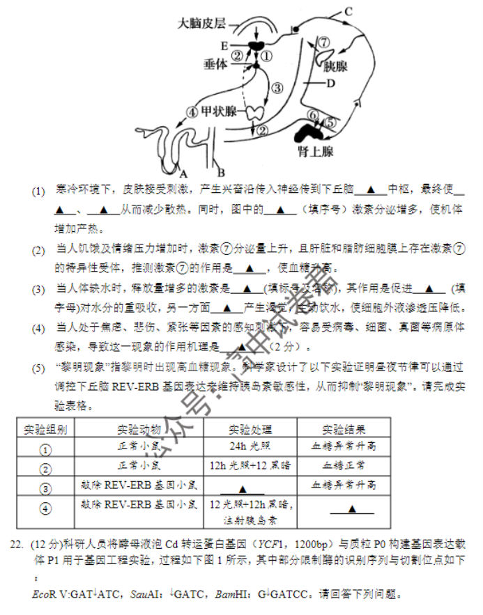 江苏南京市六校2024高三期中联合调研生物试题及答案解析