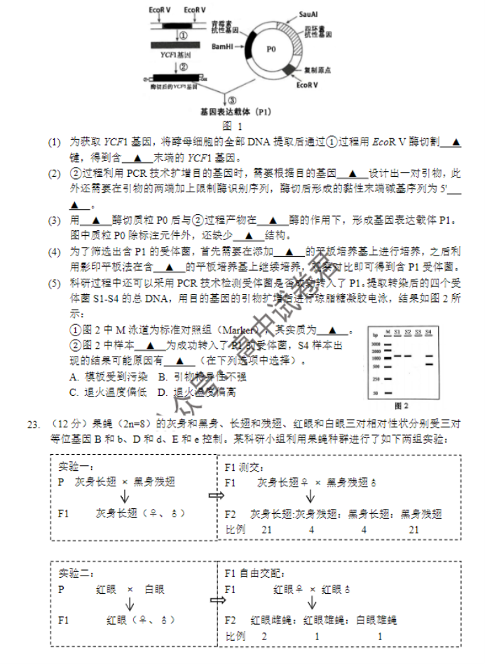 江苏南京市六校2024高三期中联合调研生物试题及答案解析