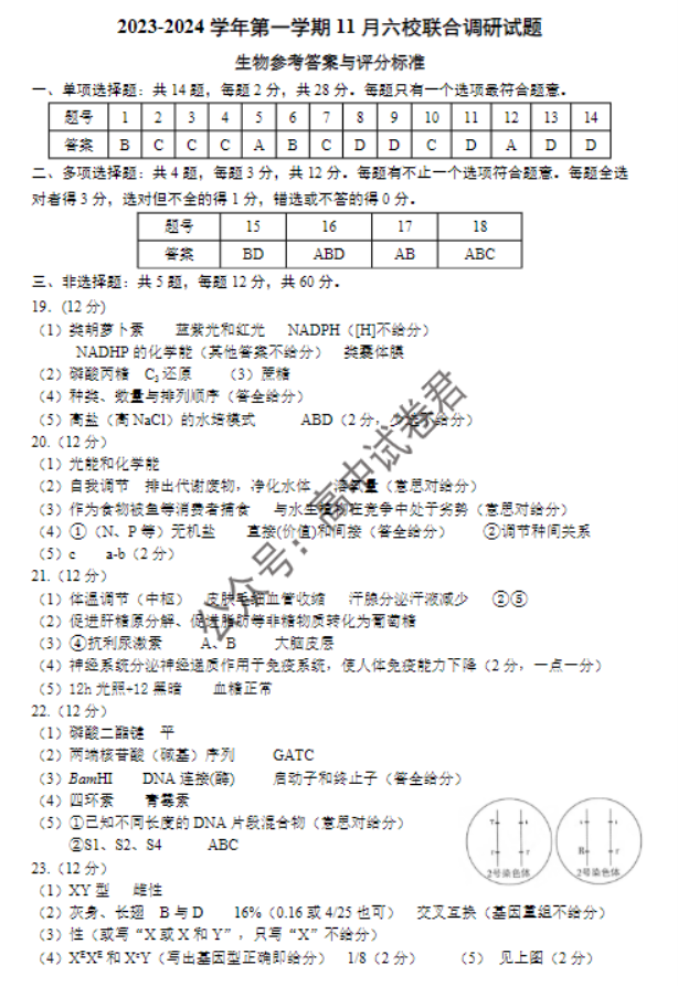 江苏南京市六校2024高三期中联合调研生物试题及答案解析