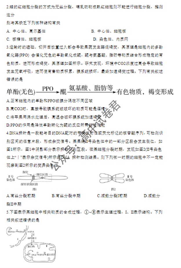 湖南天一大联考2024高三11月三联考试生物试题及答案解析