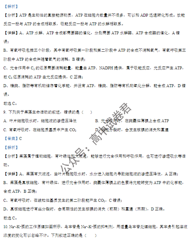 福建莆田五校联盟2024高三11月期中考生物试题及答案解析