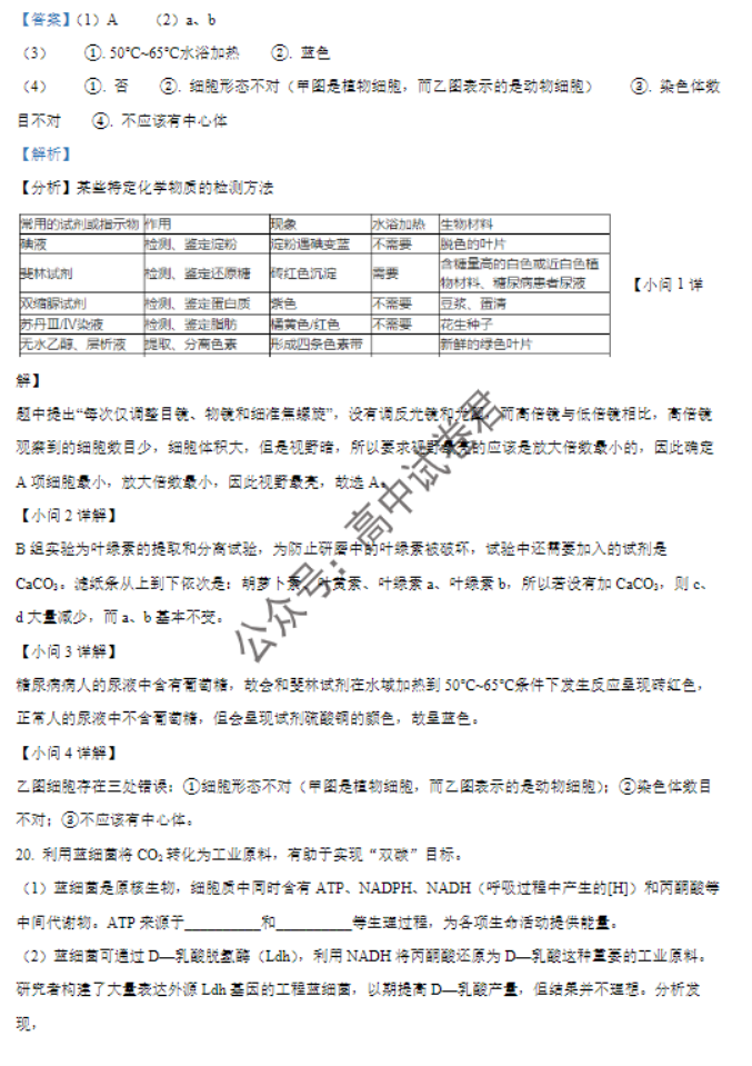 福建莆田五校联盟2024高三11月期中考生物试题及答案解析