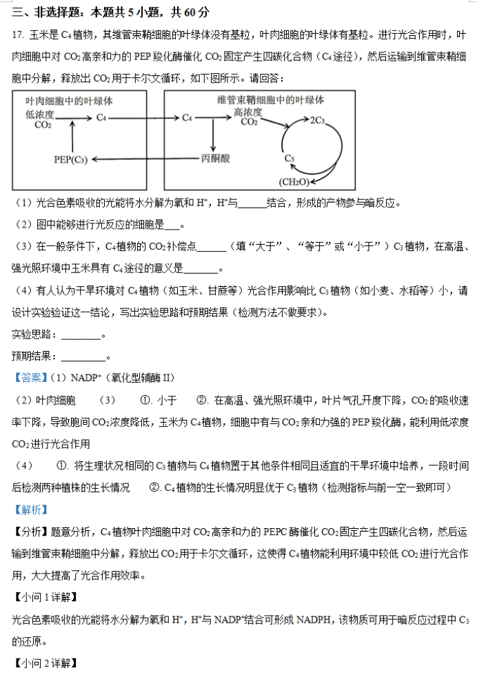 湖南省邵阳武冈市2024高三11月期中考生物试题及答案解析