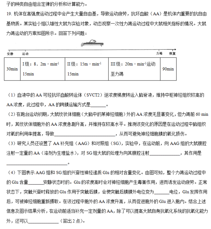 湖南省邵阳武冈市2024高三11月期中考生物试题及答案解析