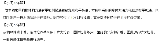 湖南省邵阳武冈市2024高三11月期中考生物试题及答案解析