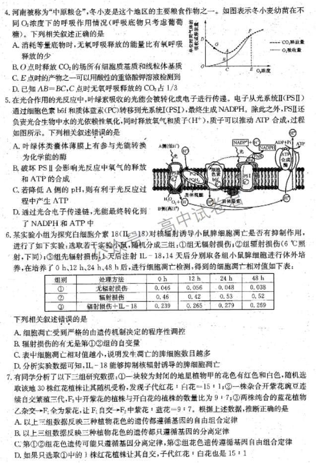 河南TOP二十名校2024高三调研考试七生物试题及答案解析