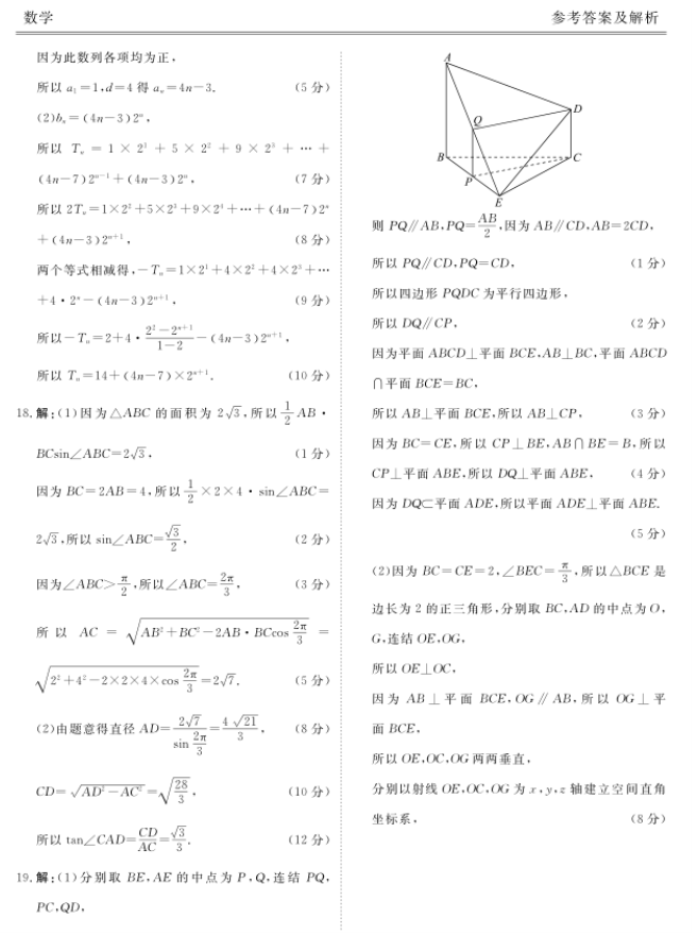广东衡水金卷2024高三年级11月大联考数学试题及答案解析