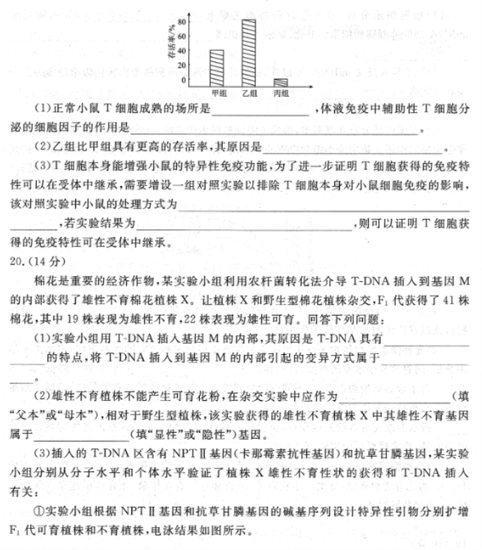 广东衡水金卷2024高三年级11月大联考生物试题及答案解析