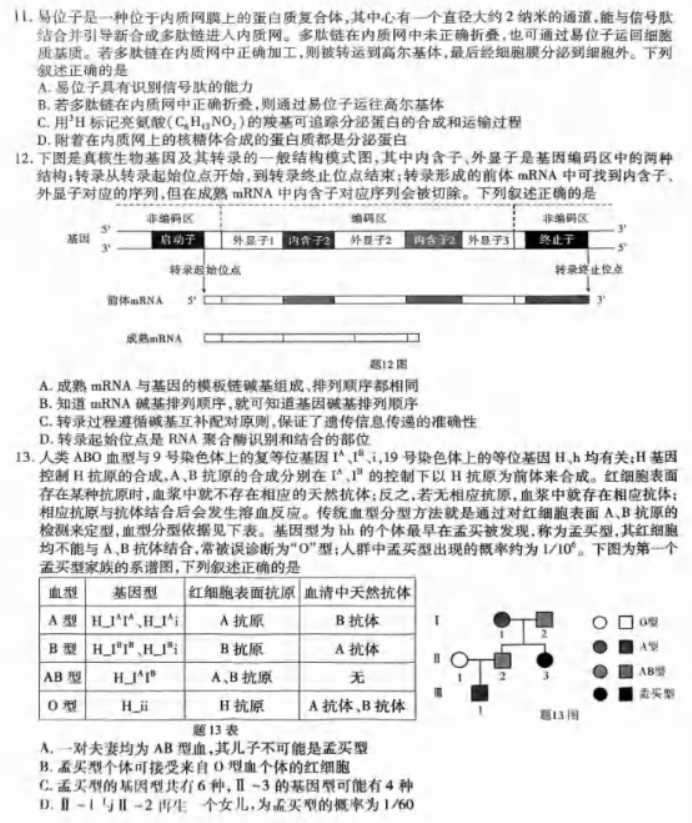 重庆市2024高三第四次质量检测生物试题及答案解析