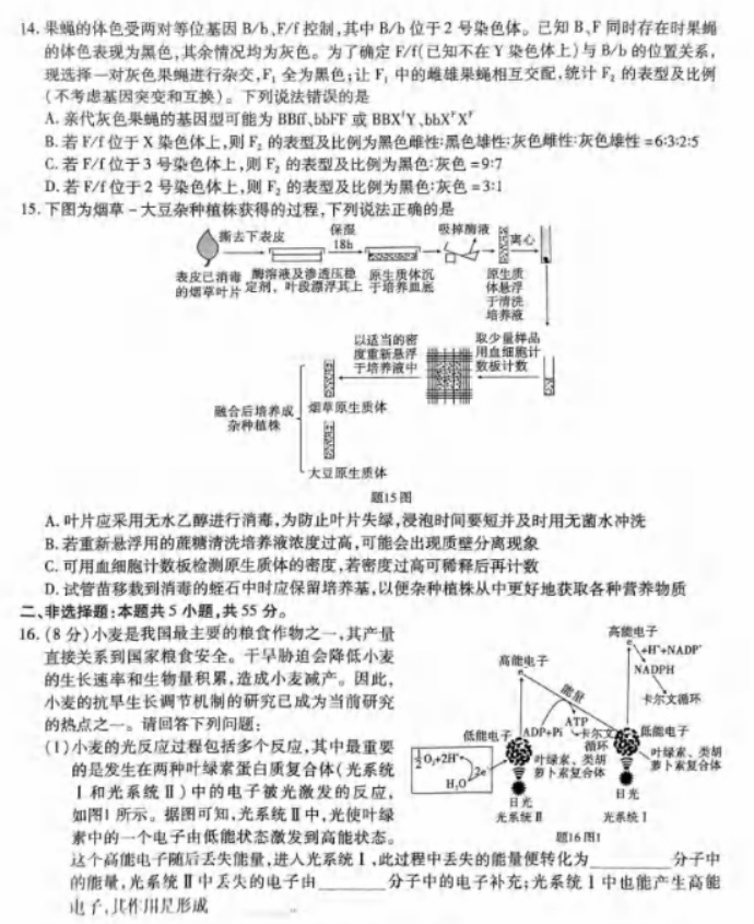 重庆市2024高三第四次质量检测生物试题及答案解析