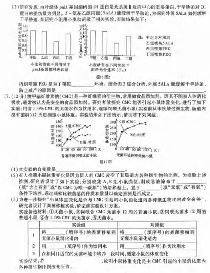 重庆市2024高三第四次质量检测生物试题及答案解析