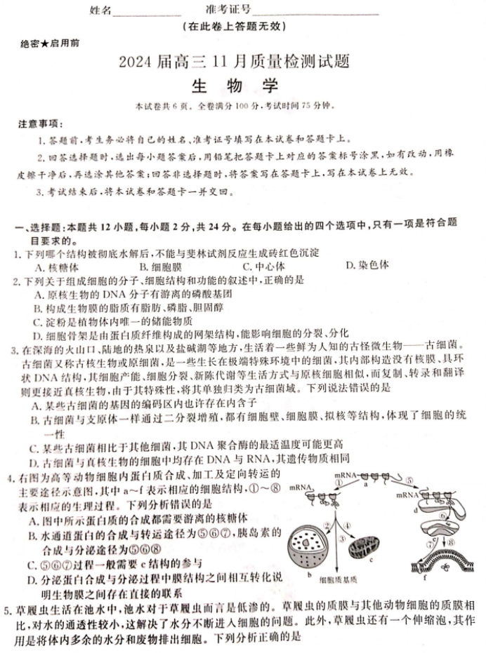 湖南衡阳市2024高三11月质量检测生物试题及答案解析
