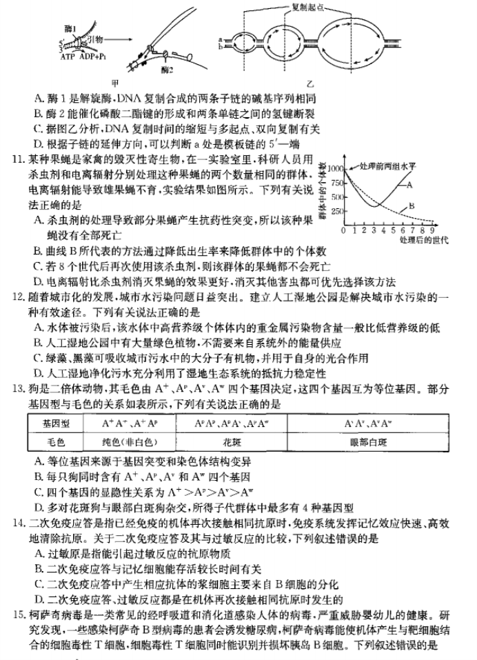 河南省许平汝名校2024高三期中联考生物试题及答案解析