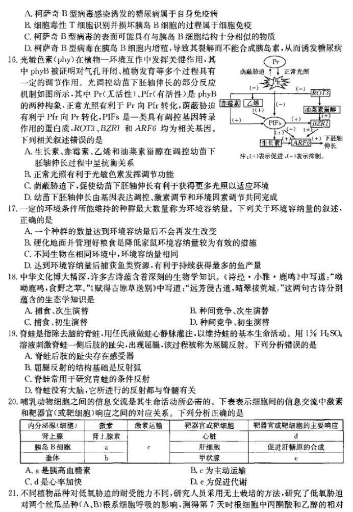 河南省许平汝名校2024高三期中联考生物试题及答案解析