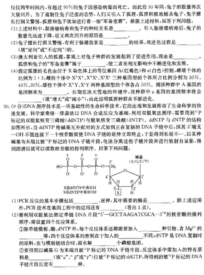 河南省许平汝名校2024高三期中联考生物试题及答案解析