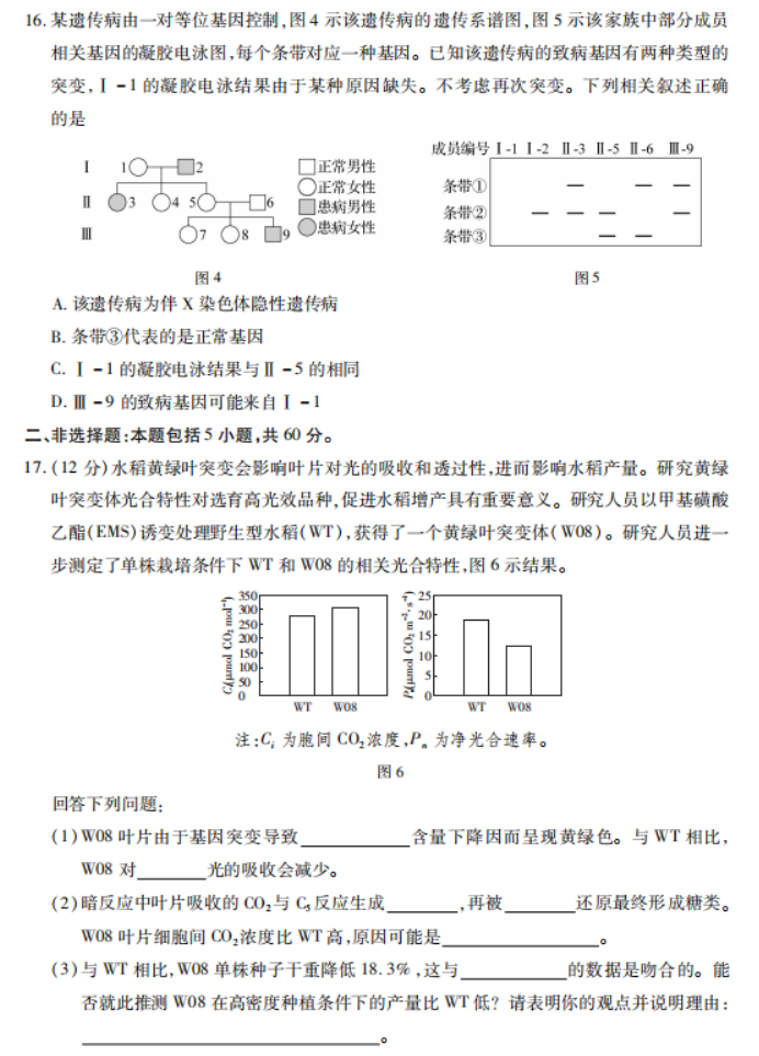 广东2024高三上学期11月统一调研测试生物试题及答案解析