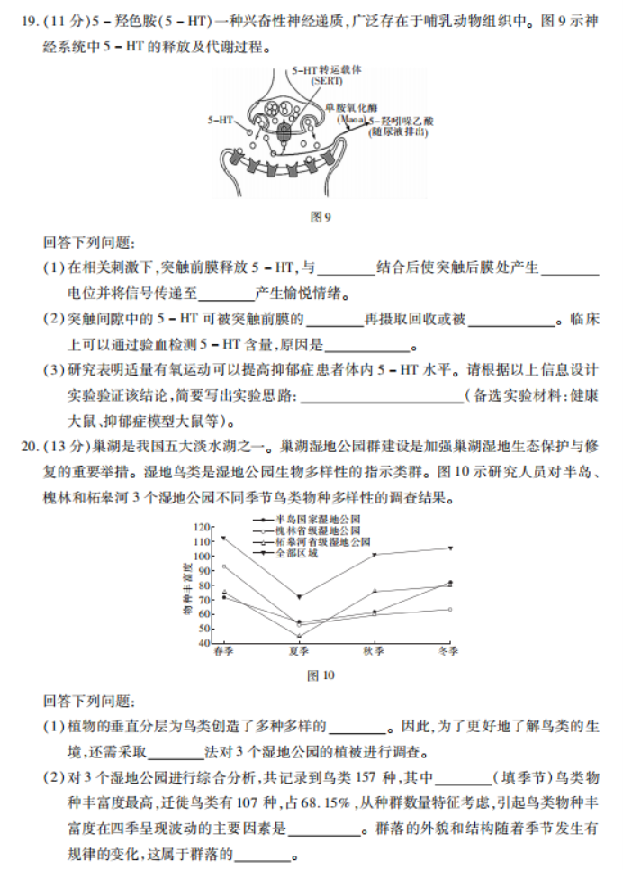 广东2024高三上学期11月统一调研测试生物试题及答案解析