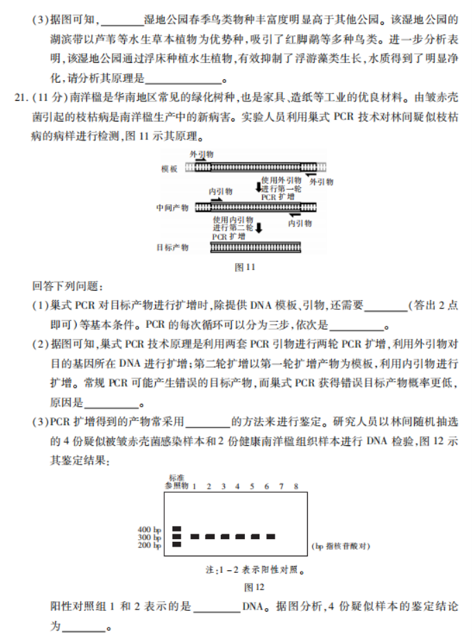 广东2024高三上学期11月统一调研测试生物试题及答案解析