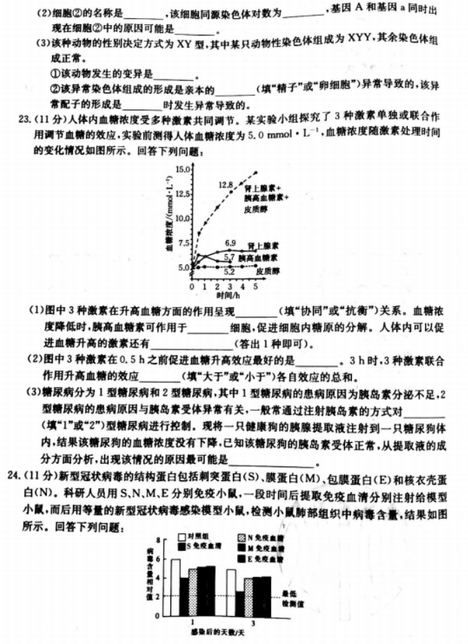 辽宁葫芦岛协作校2024高三第二次考试生物试题及答案解析