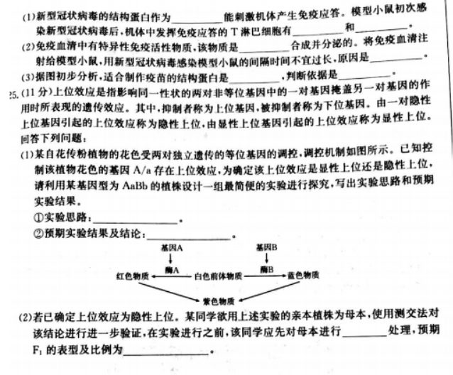 辽宁葫芦岛协作校2024高三第二次考试生物试题及答案解析