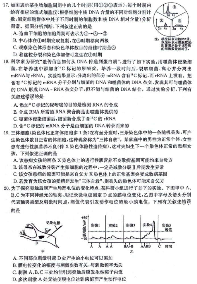 齐齐哈尔普高联谊校2024高三11月月考生物试题及答案解析