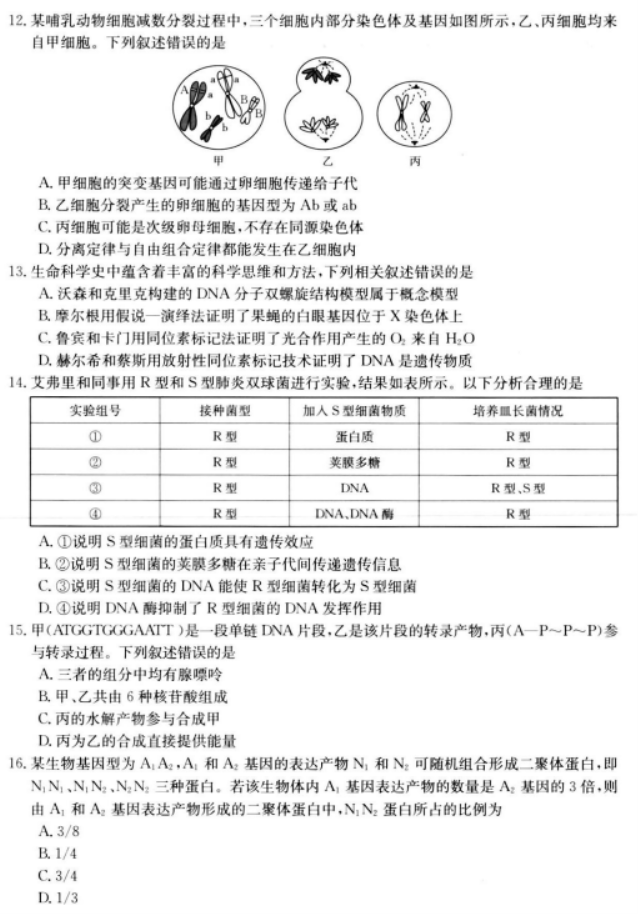 陕西金太阳2024高三11月联考(172C)生物试题及答案解析