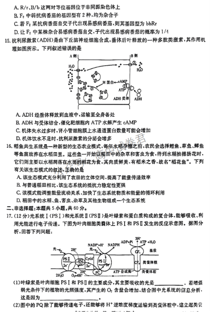 广西2024高三跨市联合适应性训练(123C)生物试题及答案