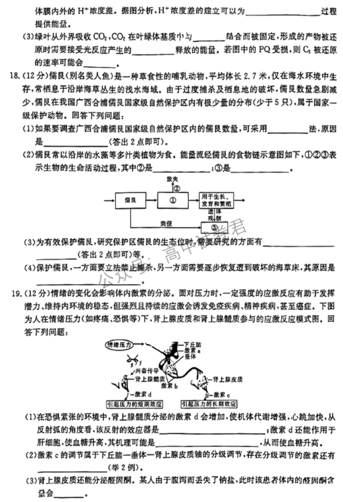 广西2024高三跨市联合适应性训练(123C)生物试题及答案