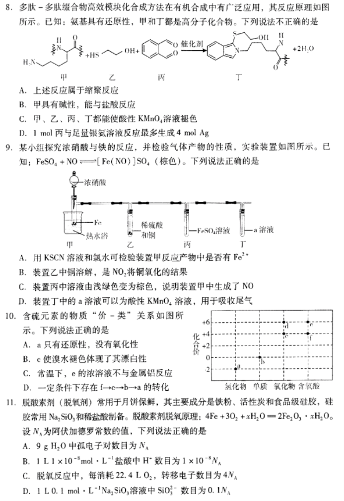 广东粤光联考2024高三第二次调研考试化学试题及答案解析